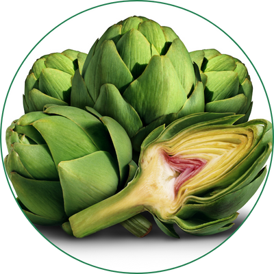 Alcachofa